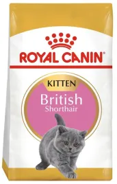 royal-canin-british-shorthair-10-kg-sucha-karma-dla-kota