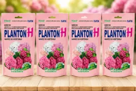 planton-h-4-x-200g-800-g-nawoz-do-hortensji-plantpol
