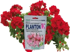 nawoz-do-pelargonii-i-innych-roslin-kwitnacych-planton-k-200g-plantpol