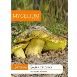 grzybnia-gaska-zielona-10-g