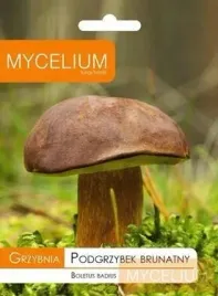 grzybnia-podgrzybek-brunatny-10g