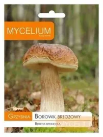 grzybnia-borowik-brzozowy-10g