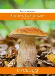 grzybnia-borowik-usiatkowany10g