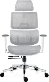 fotel-biurowy-ergonomiczny-podparcie-ledzwiowe-siatka-mesh-bialy
