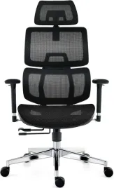 fotel-biurowy-ergonomiczny-podparcie-ledzwiowe-siatka-mesh
