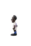 minix-pele-escape-to-victory-certyfikaty-opinie-atesty-ce-en-71