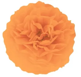 kula-pomaranczowa-dekor-pompon-bibulowy-party-15cm