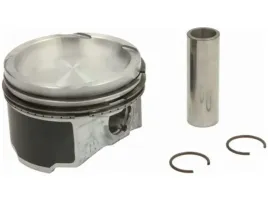 tlok-mahle-007-pi-00153-000