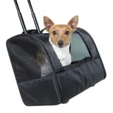 trixie-torba-na-kolkach-transporter-kolor-czarny