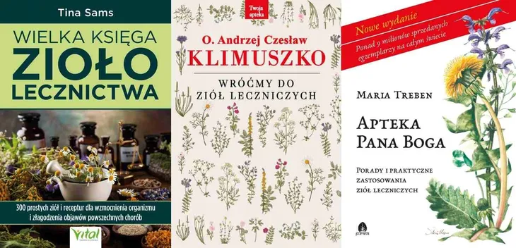 WIELKA KSIĘGA ZIOŁOLECZNICTWA. 300 PROSTYCH ZIÓŁ - TINA SAMS
