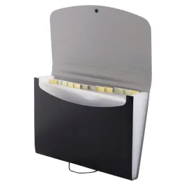 teczka-d-rect-5888-12-przegrodek-a4-czarna