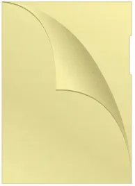 obwoluta-pp-a4-groszkowa-120mic-zolta-3szt