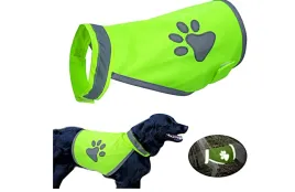 kamizelka-pet-transport