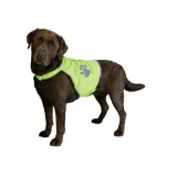 kamizelka-pet-transport-stan-nowy