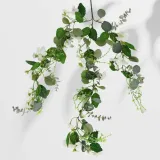 roslina-wiszaca-eukaliptus-1767-70-cm