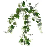 roslina-wiszaca-eukaliptus-1767-70-cm-marka-eko-light
