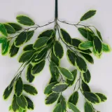 roslina-wiszaca-eukaliptus-1760-70-cm-kod-producenta-ekkw2693