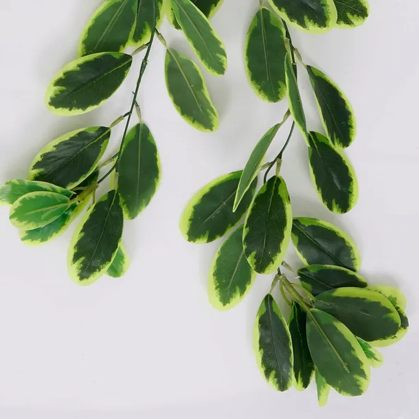 roslina-wiszaca-eukaliptus-1760-70-cm-wysokosc-maksymalna-70-cm