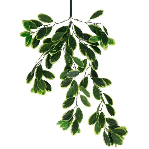 roslina-wiszaca-eukaliptus-1760-70-cm-marka-eko-light