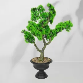 roslina-doniczkowa-bonsai-5210-60-cm