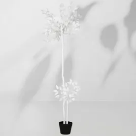 roslina-doniczkowa-eukaliptus-5217-140-cm