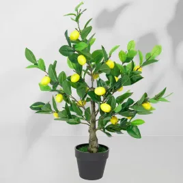 roslina-doniczkowa-drzewko-cytrynowe-5229-70-cm