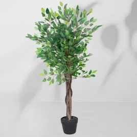 roslina-doniczkowa-drzewko-figowca-5235-130-cm