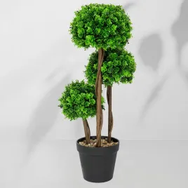 roslina-doniczkowa-drzewko-topiary-5244-50-cm