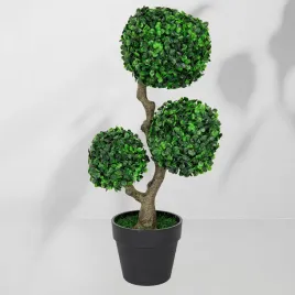 roslina-doniczkowa-drzewko-bukszpanowe-5279-55-cm