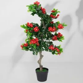 roslina-doniczkowa-drzewko-hibiskusa-5350-90-cm
