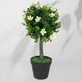roslina-doniczkowa-drzewko-bukszpanowe-5517-40-cm