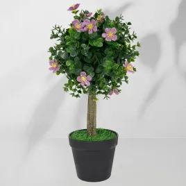 roslina-doniczkowa-drzewko-bukszpanowe-5514-40-cm