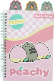 notes-ze-znacznikami-pusheen