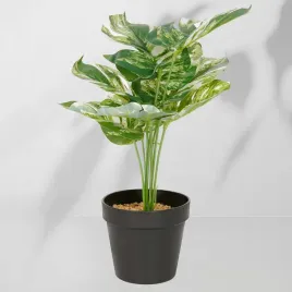 roslina-doniczkowa-monstera-ciemna-6406-34-cm