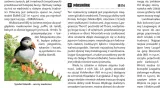 mapandguide-islandia-2w1-jezyk-polski