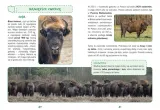 polska-naj-przyroda-typ-publikacji-przewodnik