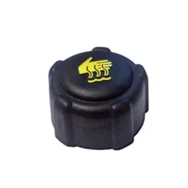 suzuki-renault-clio-megane-espace-smart-korek-wlewu-wody-nowy-1793184a00