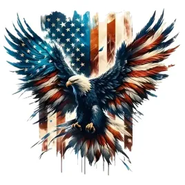 naklejka-orzel-usa-flaga-dekoracyjna-15x16-dla-motocyklisty