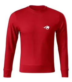 bluza-snowboard-deska-gory-sport-60