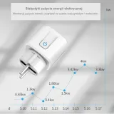 inteligentne-gniazdko-wi-fi-programator-czasowy-smart-control-eu16-prad-16-a