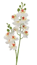 storczyk-gumowany-pojedynczy-jak-zywy-65cm-sztuczne-kwiaty-premium