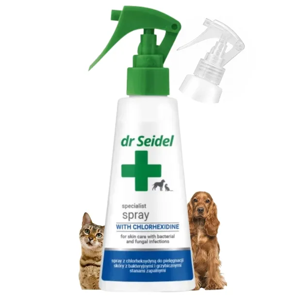 Dr Seidel spray bakteriobójczy chlorheksydyna stan zapalny skóry 100 ml