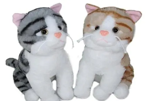 kot-35cm-mix