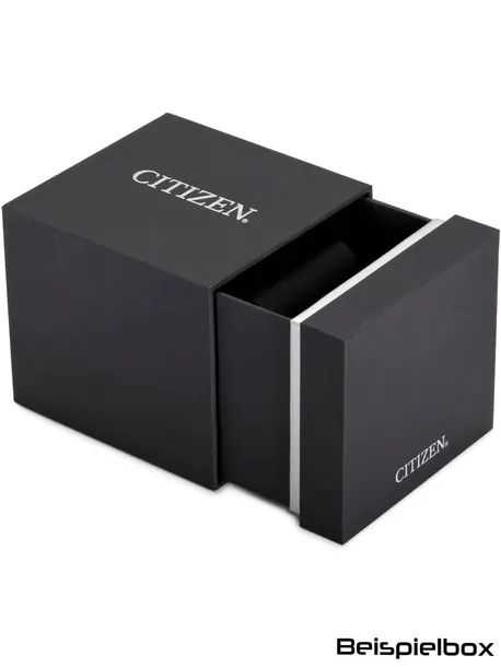 zegarek-citizen-nk0020-55e-funkcje-brak