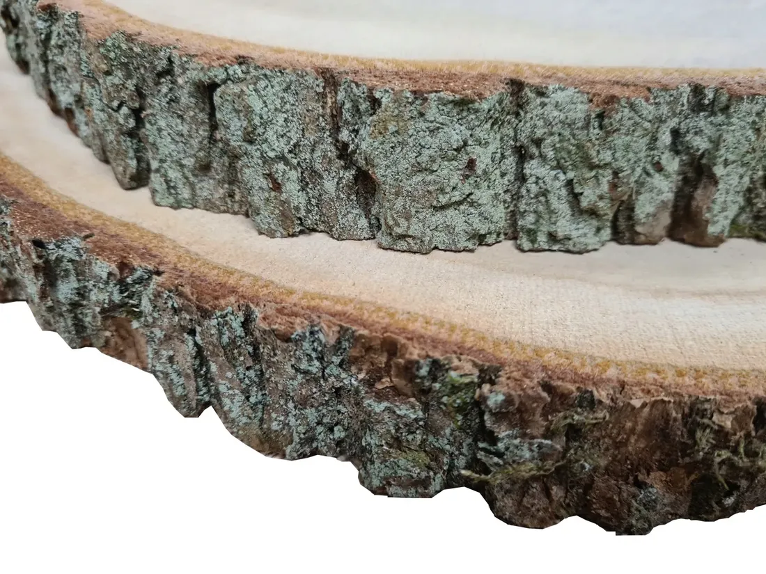 plaster-drewna-dab-fi-18-22-cm
