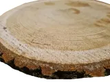 plaster-drewna-debowy-28-30cm-liczba-sztuk-1-szt