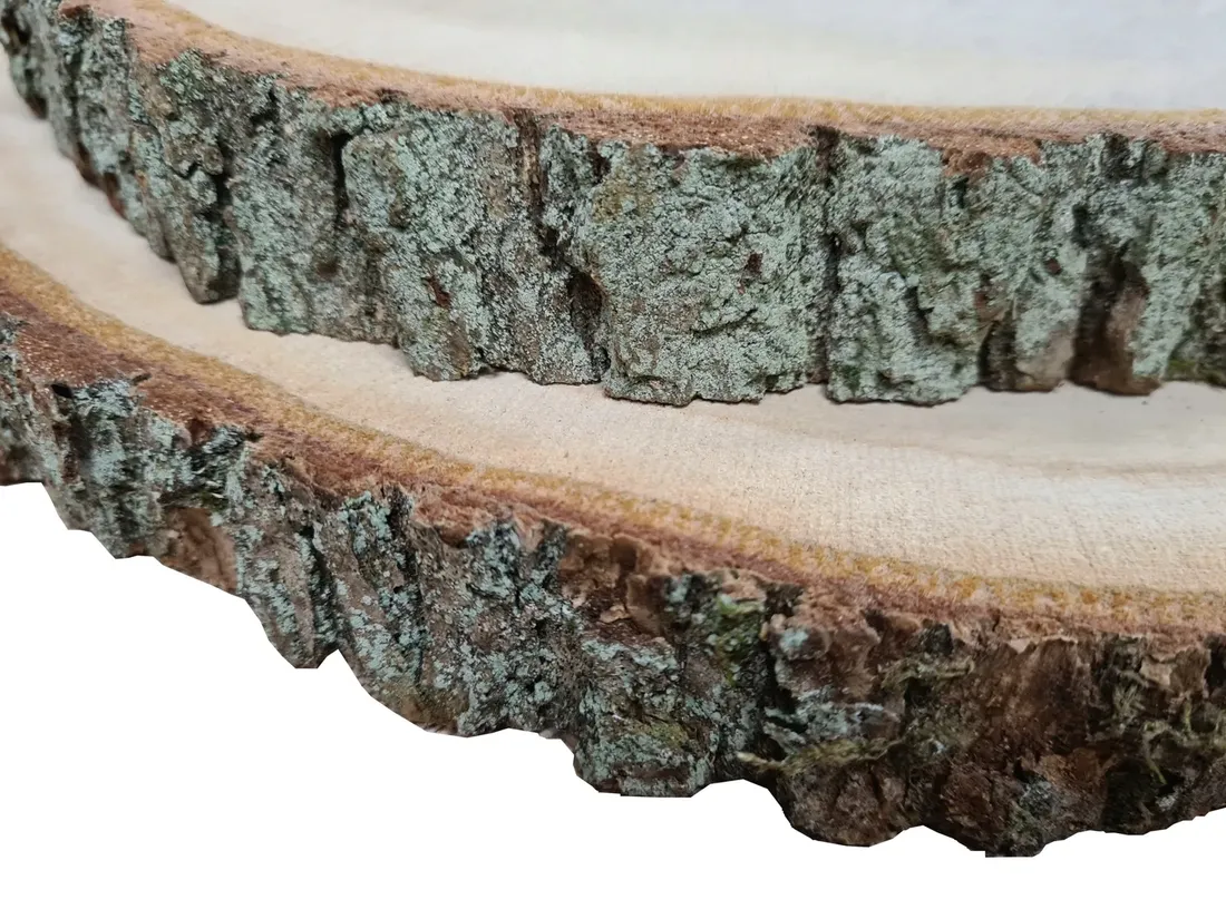 plaster-drewna-dab-25-28-cm