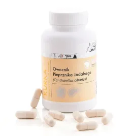 biolit-kurka-sproszkowany-owocnik-pieprznika-j-90-kapsulek