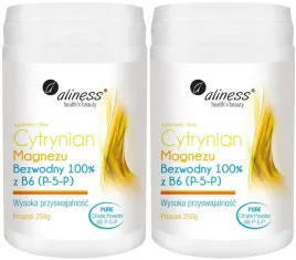 2x-cytrynian-magnezu-bezwodny-100percent-z-b6-p-5-p-250-g-proszek-energia-kosci