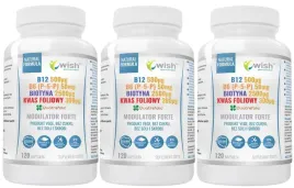wish-3x-modulator-forte-120-kapsulek-skupienie-mozg-serce